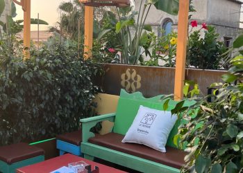 Terraza Azotea de "la Favorita"