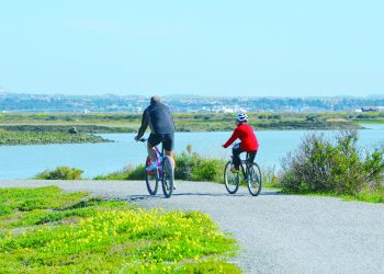 DOS CICLISTAS RECORREN EL PAR- QUE NATURAL DE LA BAHÍA DE CÁDIZ | DAVID IBÁÑEZ MONTAÑEZ